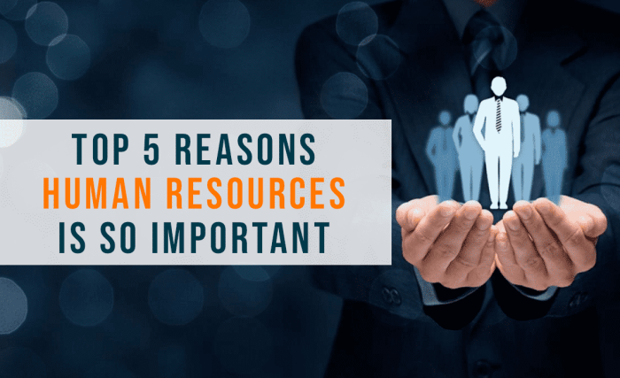 Human management resource important business why any hr recruitment productive